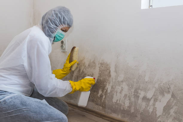 Best Industrial Mold Remediation  in Lake Tapps, WA