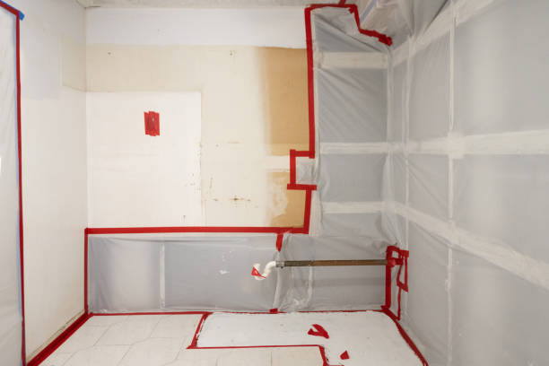 Best Mold Prevention Services  in Lake Tapps, WA