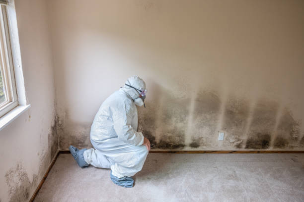 Best Post-Construction Mold Inspection  in Lake Tapps, WA